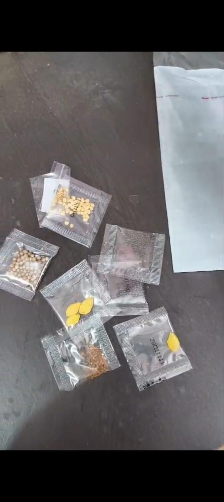 35 Pack Heirloom Veggie Seed Kit